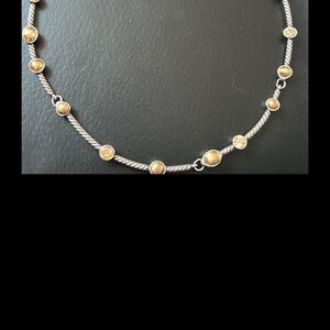 Elegant Two-Tone Necklace